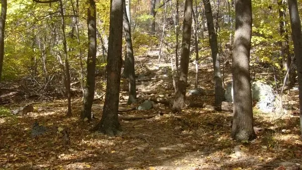 trail