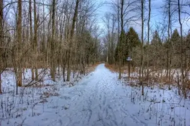 trail in the trees at harrington beach state park wisconsin
