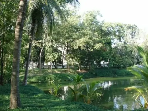 tranquility