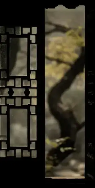 tree amp window