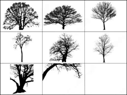tree brush