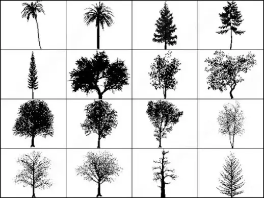 tree brush