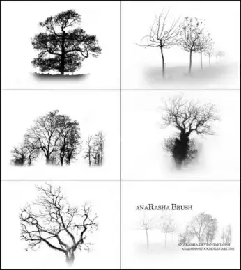 tree brush