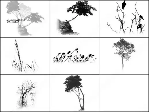 tree brush