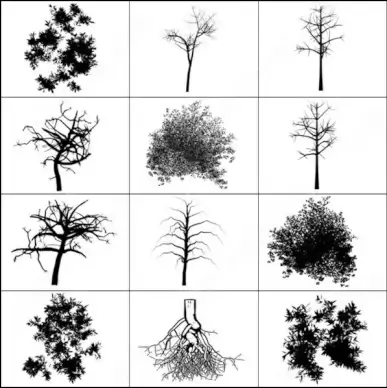 tree brush