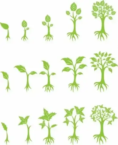 Tree Growing