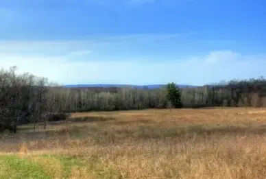trees and hills on the ice age trail wisconsin