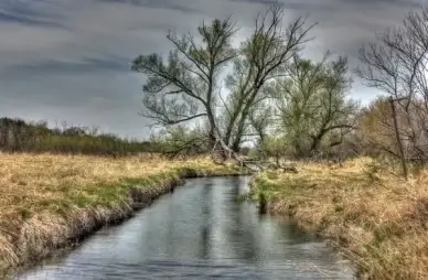 trees spreading across the river on the military ridge state trail