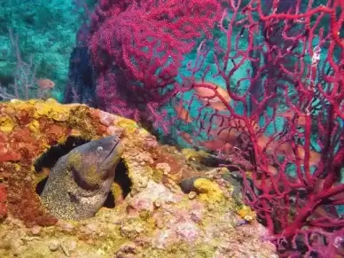 tropical mediterranean sea