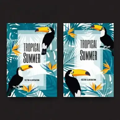 tropical summer background birds leaves decoration multicolored design