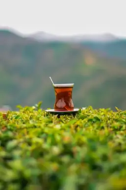 turkey country picture tea cup closeup