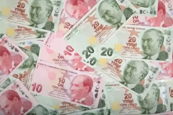 turkish money