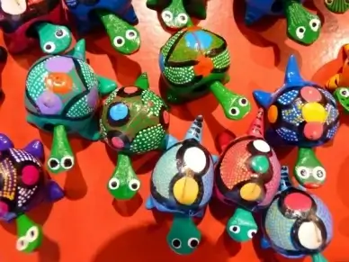 turtle colorful pumpkin