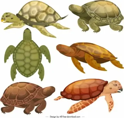 turtle species icons colored modern sketch