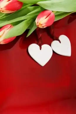two hearts and tulips
