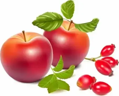fresh fruits background shiny colored 3d realistic design
