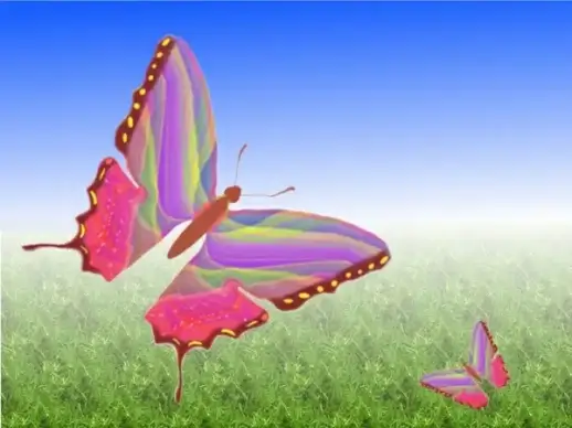 unique butterfly