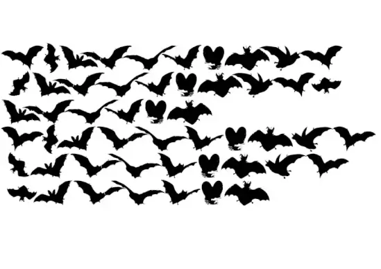 Vampyr Bats
