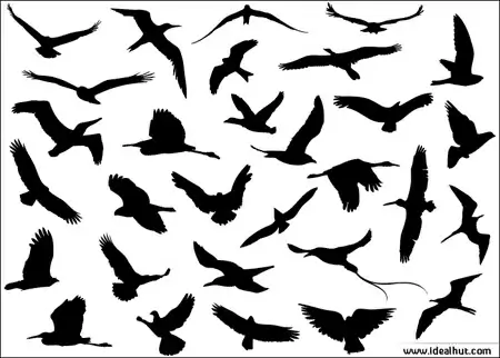 birds icons collection silhouettes style design