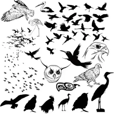 Vector Birds Silhouettes