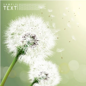 dandelion background realistic flying objects bright bokeh decor