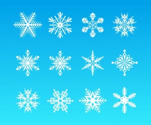 vector snowflakes set for christmas design