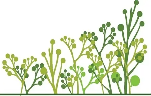 Vector Trees