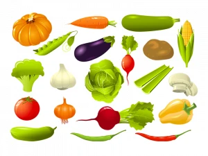 vegetable vector collection