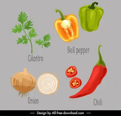 vegetables icons colored classical handdrawn outline