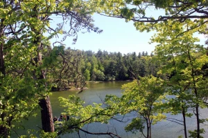 view of lake ontario straight in ontario canada