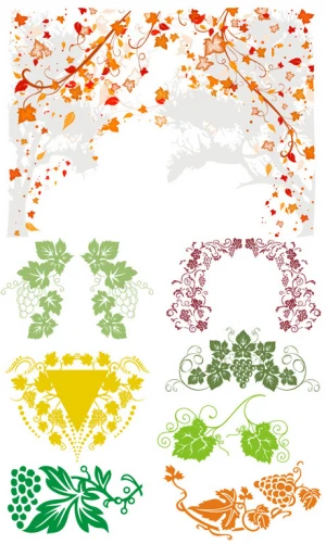 vines frame floral vector