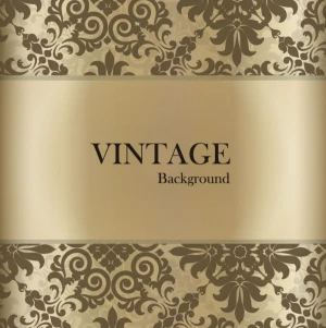 vintage lace background vector