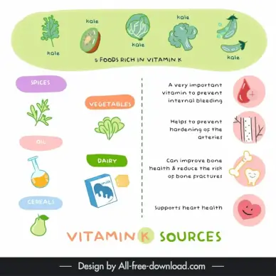 vitamin k sources infographic template flat classic handdrawn elements 