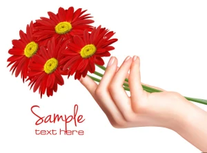 vivid chrysanthemum vector background