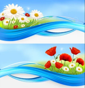 vivid chrysanthemum vector background