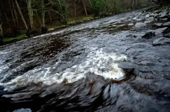 water