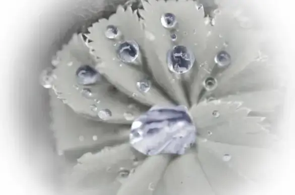 water drops