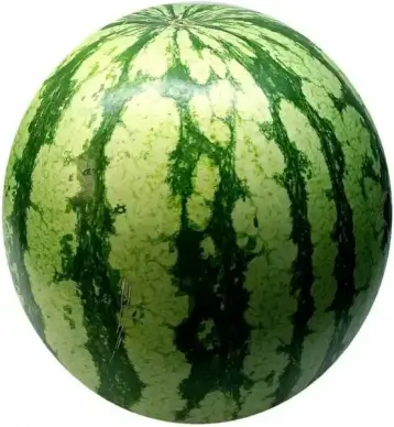 watermelon melon fruit