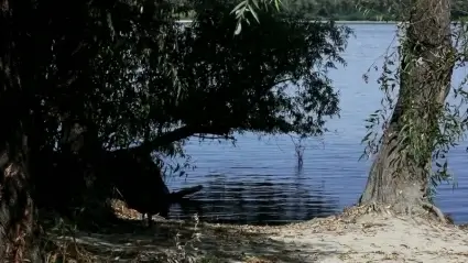 Waterscape