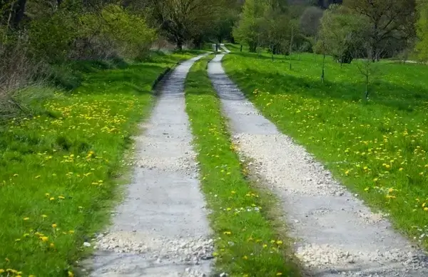 way through landscape