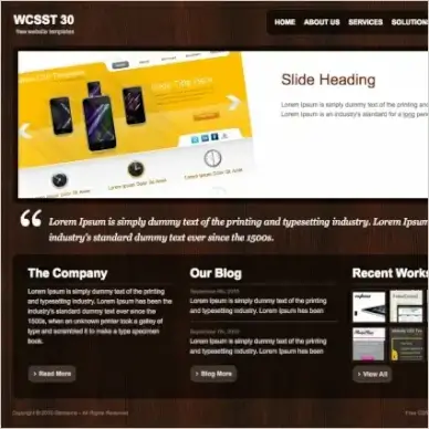 WCSST 30 Template