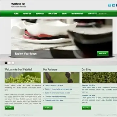 WCSST 38 Template
