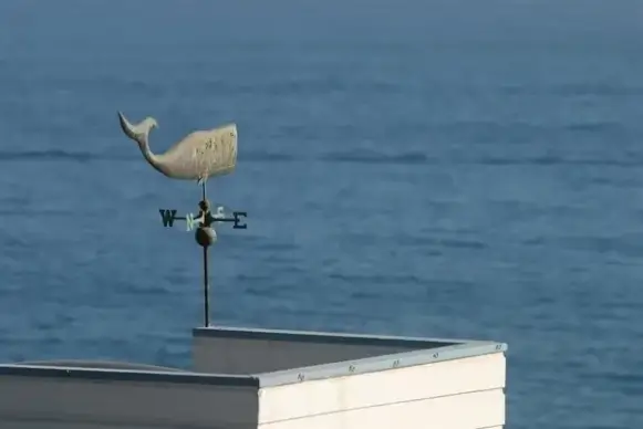 weathercock of whale