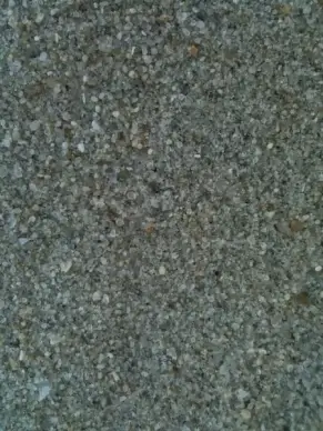 wet sand