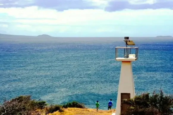 whale watching
