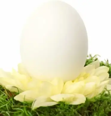 white easter egg