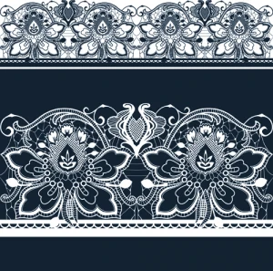 white lace elements vector