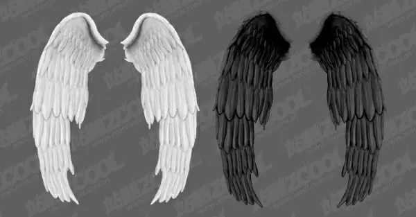 white wings and black wings psd layered
