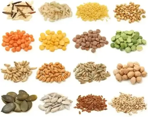 whole grains 02 hd picture