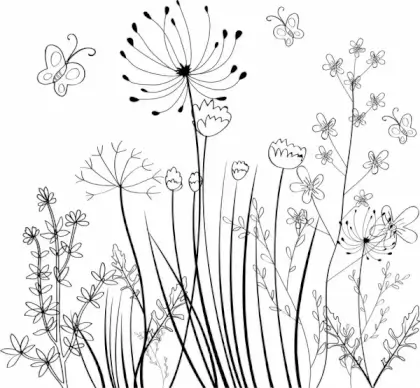 wild flowers field background black white sketch